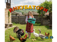 Автоматичен инкубатор с дистанционно управление