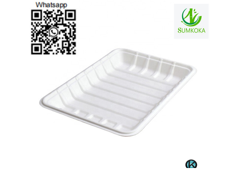 sugarcane tray tray plate pulp tray packaging