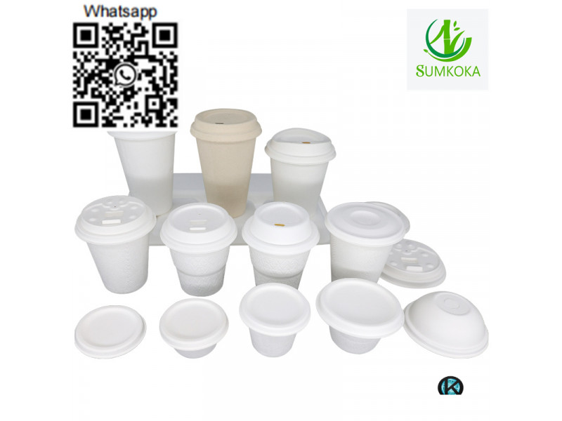 bagasse cup coffee cup cup disposal