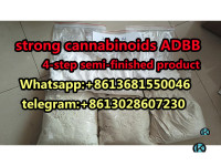 ADB-B precursor